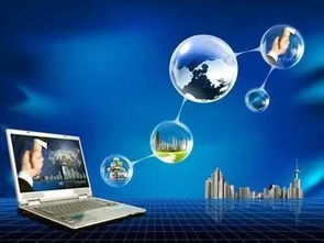 政府信息公開(kāi)目錄 東營(yíng)區(qū)政府網(wǎng)站